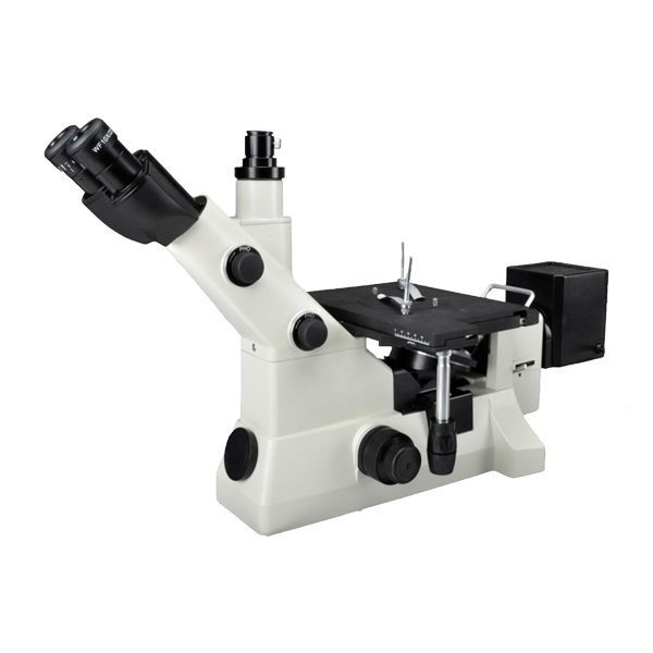 Microscop MS 500D