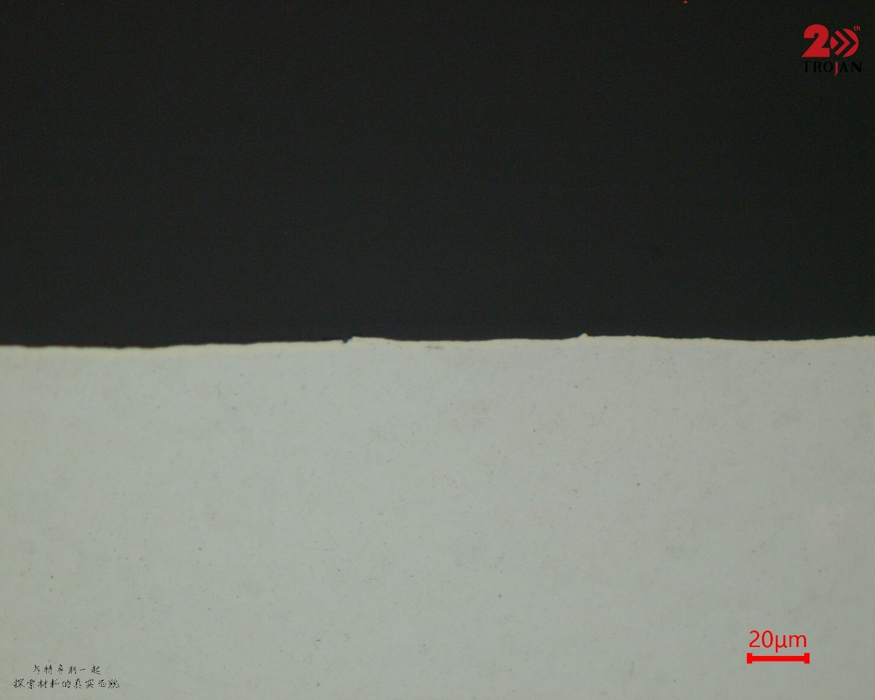 SPCC cross-section microstructure detail